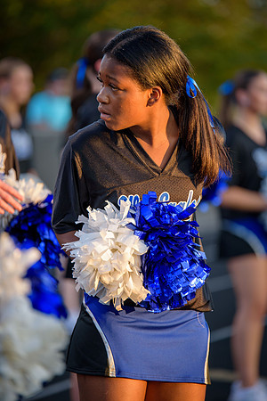 BDP_7601