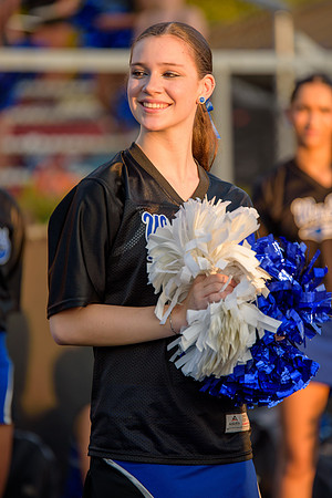 BDP_7603