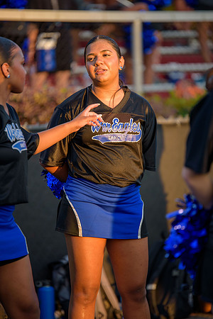 BDP_7604