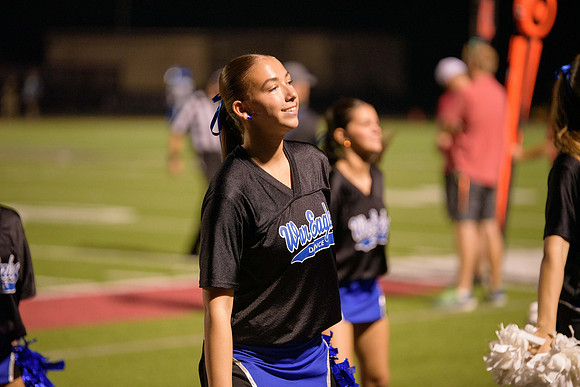 BDP_7656