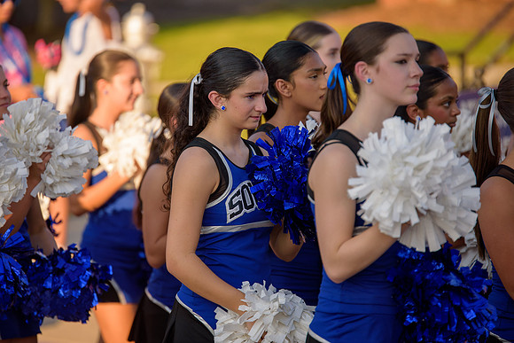 BDP_8463