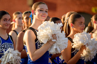 BDP_8450-2
